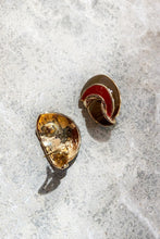 Load image into Gallery viewer, ADENO SHELL EARRINGS